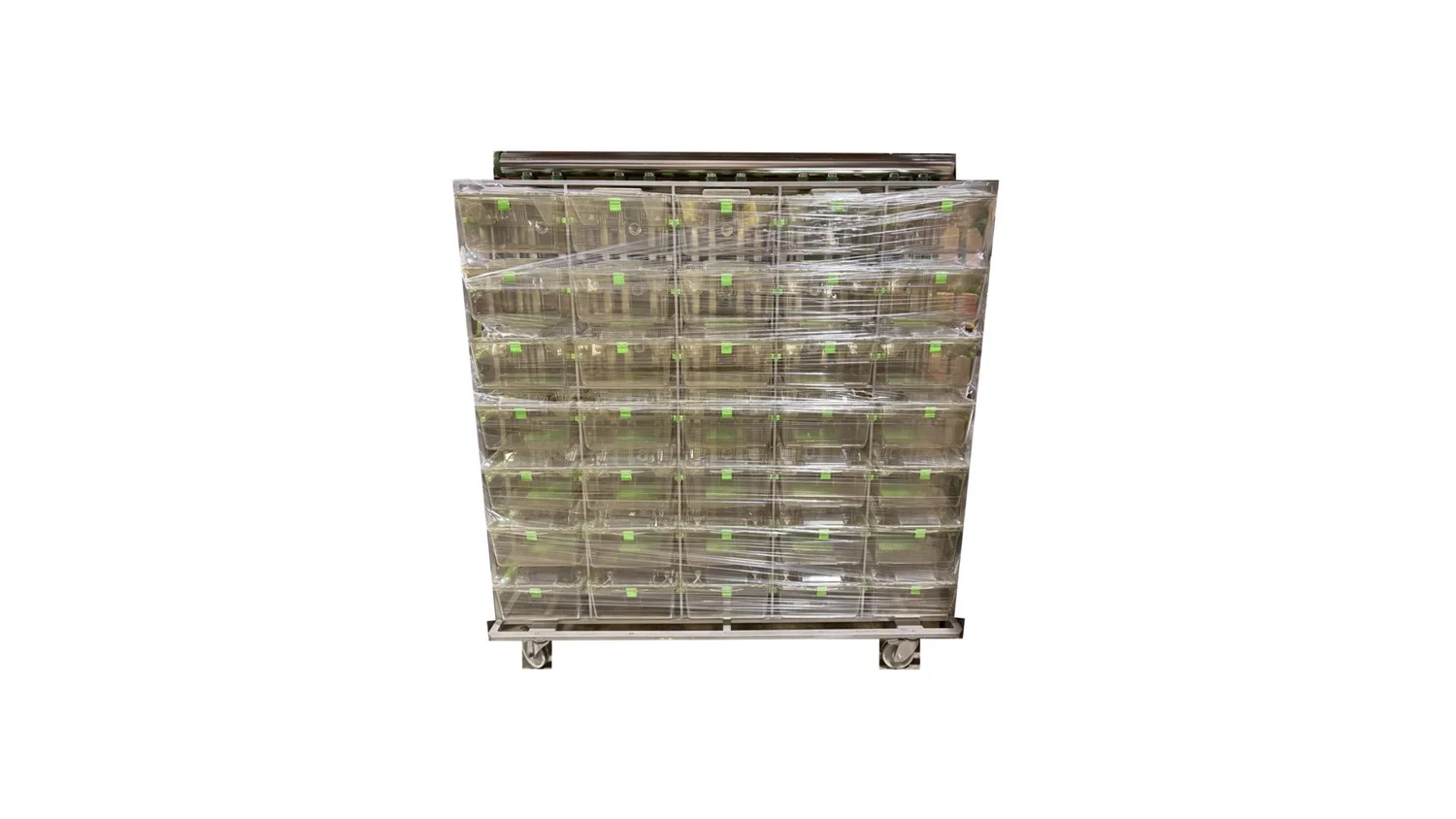 Tecniplast Green Line Rat Rack WITH CAGES - 70 Cage, Double Sided